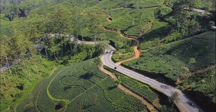 anticipatory action simulation drill