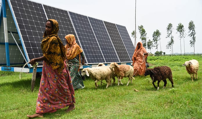 Women farmers in Kayumer Char, Gaibandha in northern Bangladesh, lead their cattle home against the backdrop of a movable micro-solar irrigation pump. Photo: Tanmoy Bhaduri / IWMI