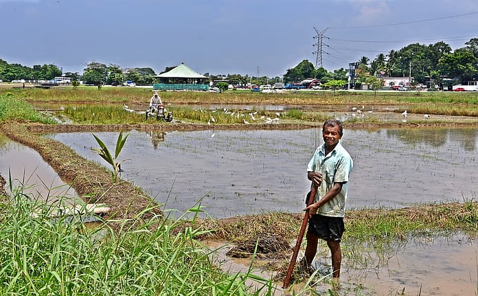 Farmers at work in a field within city limits