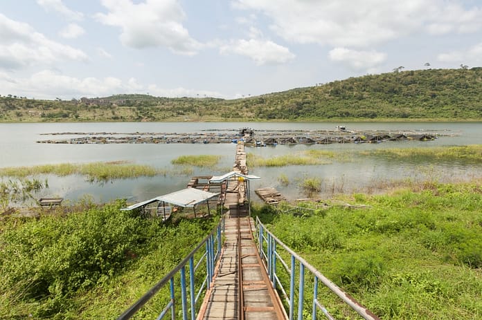 Fish cages on the Volta lake. Photo: Hamish John Appleby / IWMI