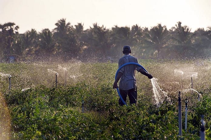 Watering crops at sunset. Photo: Hamish John Appleby / IWMI