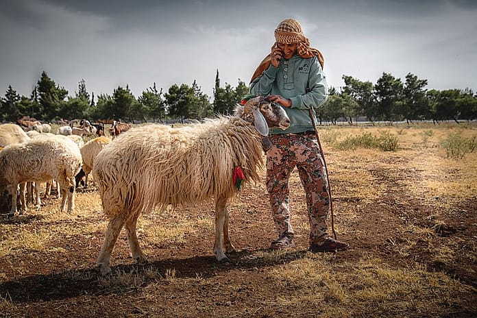 Photo: Seersa Abaza / IWMI