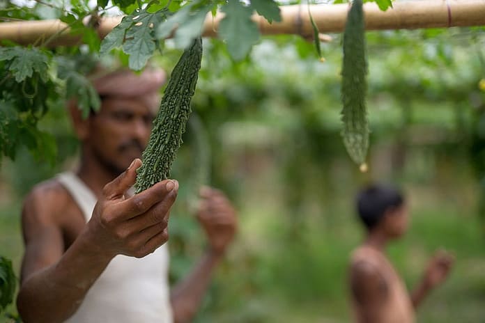Photo: Metro Media / IWMI