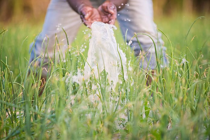 Photo: Metro Media / IWMI