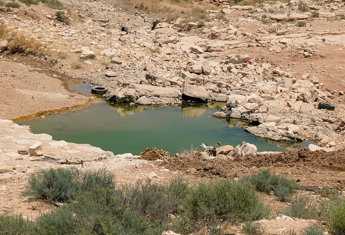 IWMI and Jordan’s private sector collaborate 1