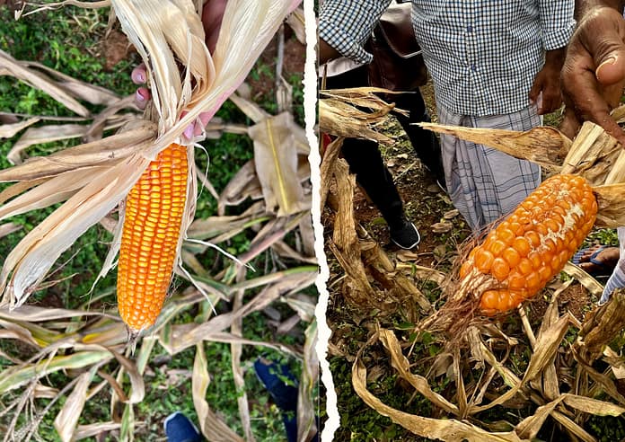 USDA visit - Galenbindunuwewa 2