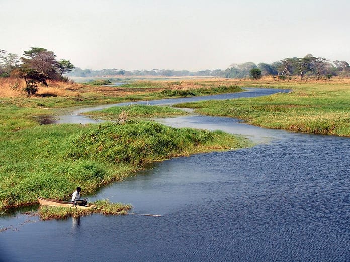 The Lukanga wetlands in Kenya (Photo credit Matthew McCartney / IWMI)