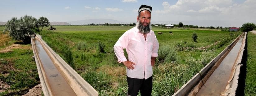 Water governance, training and gender in agriculture: A new evidence base