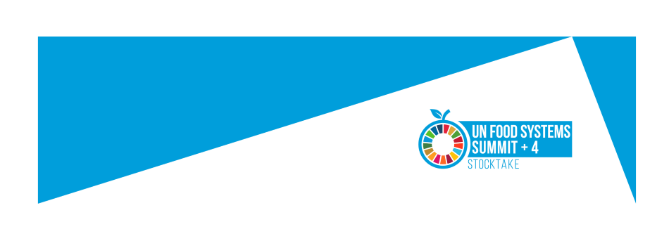 2nd UN Food Systems Summit Stocktake (UNFSS+4)