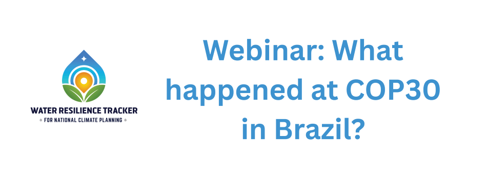 Webinar: What happened at COP30 in Brazil?