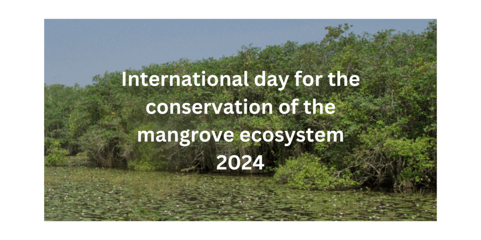 International Day for the Conservation of the Mangrove Ecosystem
