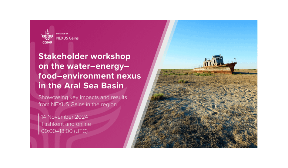 Stakeholder workshop on the water-energy-food-environment nexus in the Aral Sea Basin
