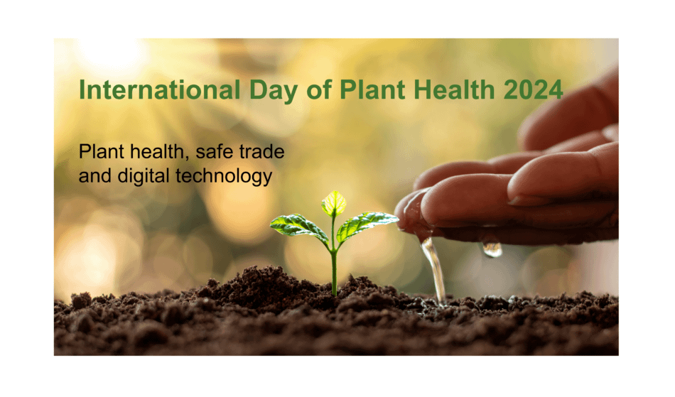 International Day of Plant Health 2024