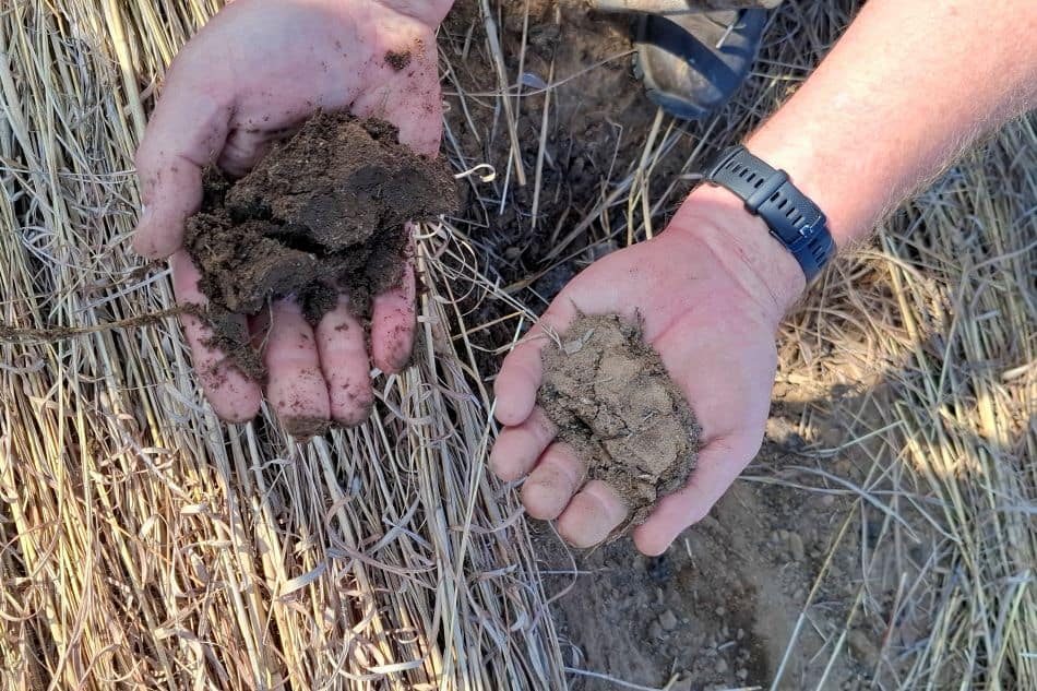 2025 05 09 Citizen Science agroecology 2