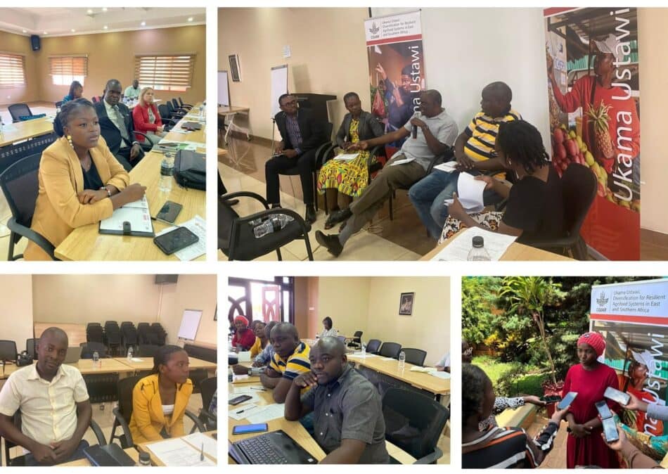 Participants at the December 2023 workshop in Lilongwe, Malawi. Phindi Nkosi / IWMI 