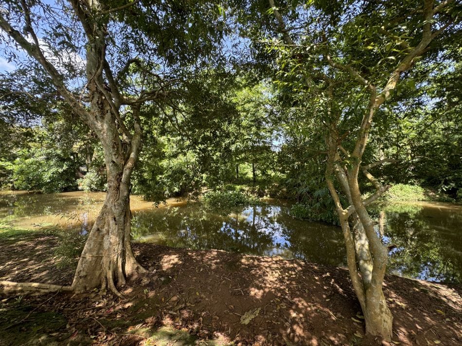 2025 07 25 Why wetlands must be central to building hydrological resilience 1