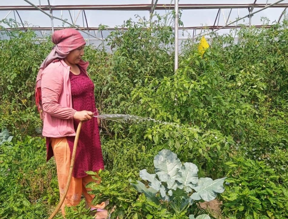 2025 03 08 Nepalese womens farming collective IWD 2