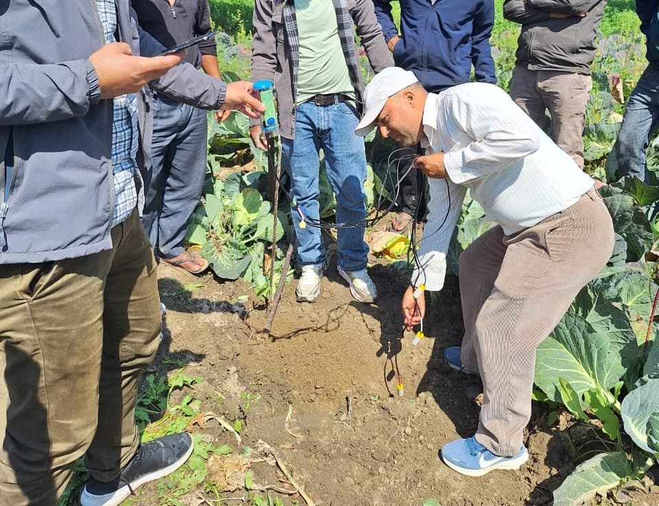 Dinesh Paudel, Senior Divisional Engineer of the Babai irrigation project, installed a soil moisture sensor in a farmer's field. Photo: Jibesh Kumar K.C. / IWMI 