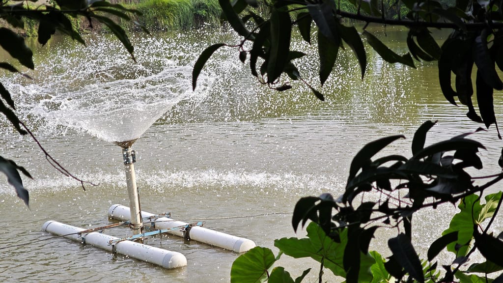 An aerator churns oxygen into one of the broodstock ponds at Mukhiya Fish Farm — an energy-intensive but essential system that keeps parent fish healthy and supports successful breeding. Photo: Aayush Niroula/IWMI