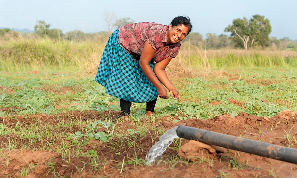 A farmer uses groundwater for irrigation in Kalpitiya, Sri Lanka. Photo: Hamish John Appleby / IWMI.