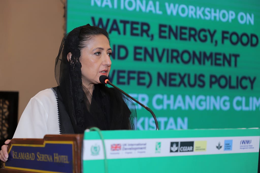 Shezra Mansab Ali Khan Kharal, minister of state, Ministry of Climate Change and Environmental Coordination speaks at the national workshop on Water, Energy, Food and Environment (WEFE) Nexus Policy in Islamabad, Pakistan. Photo: IWMI