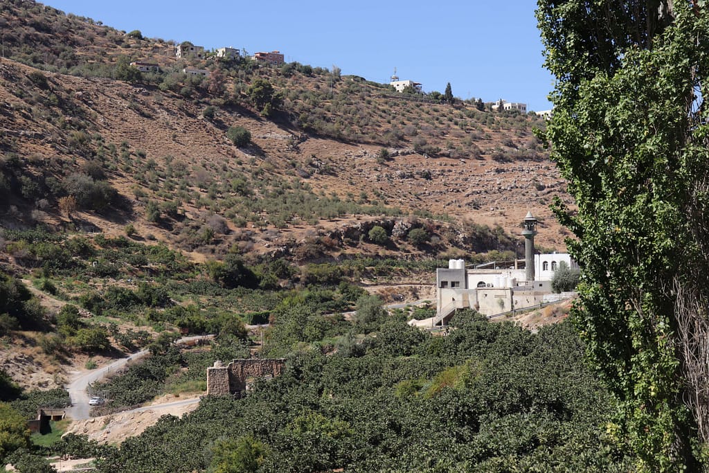 A view of Wadi Seer from the Wadi Seer Spring Cooperative. Photo: Mirna Hamdan/ IUCN