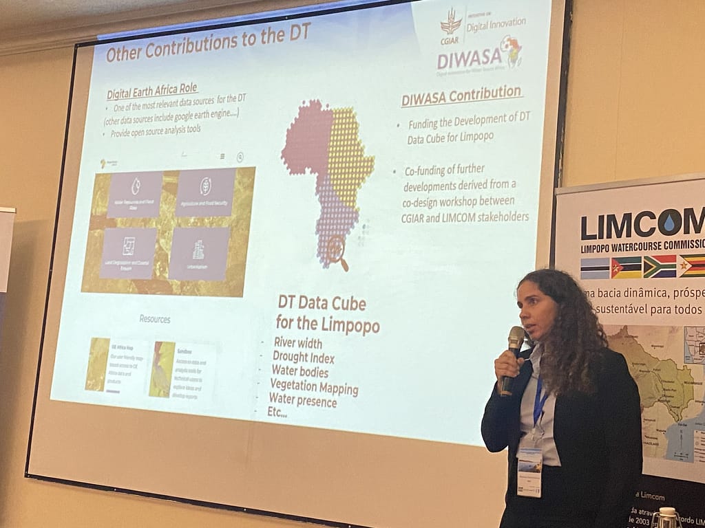 Mariangel Garcia, CGIAR Digital Innovations Lead of the digital twin project presenting IWMI’s DIWASA project at the Pretoria workshop. Photo: Gordon / River of Life