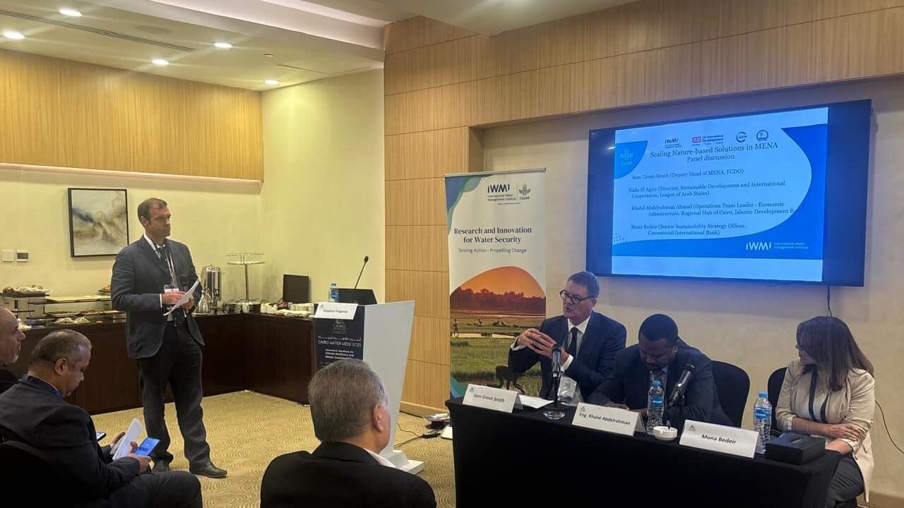 Panel speakers discuss scaling nature-based solutions in the MENA region. Photo: Nada Al-Tantawi/ IWMI