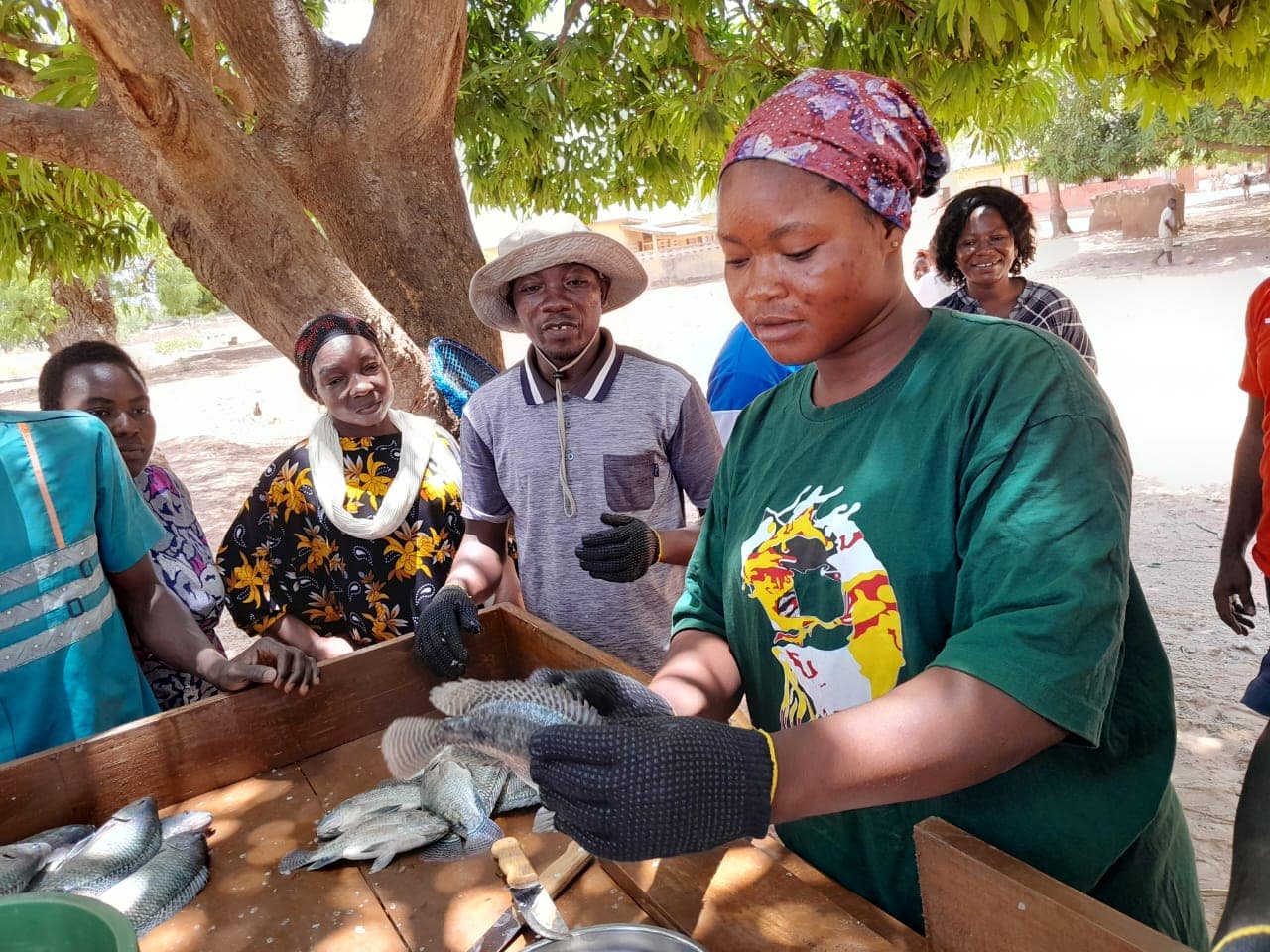 Post-harvest training for aquaculture farmer group in Langbinsi, Northern Ghana. Photo: Sarah Appiah / IWMI