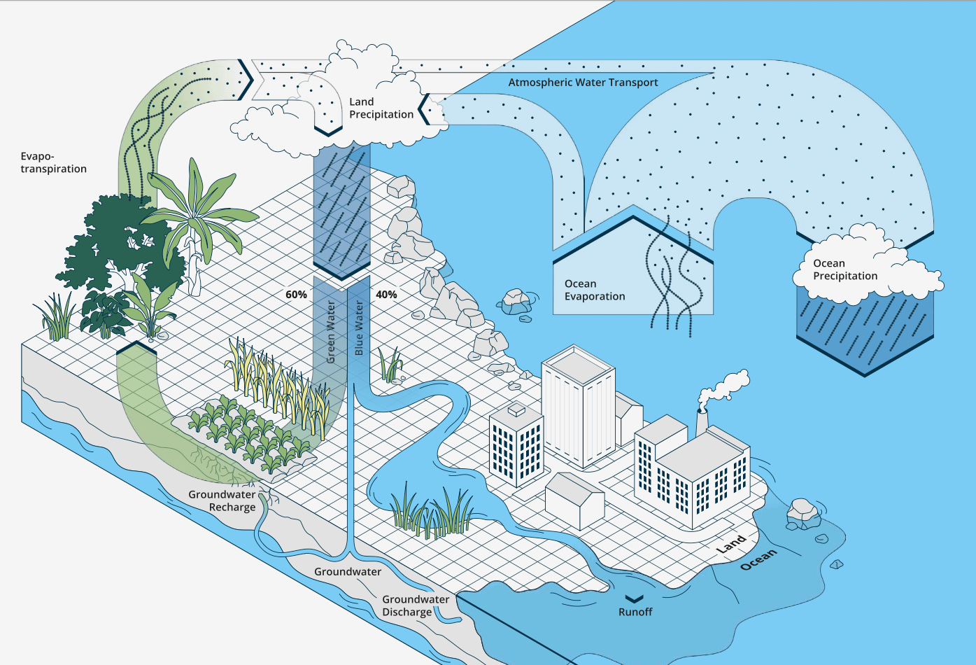A simplified illustration of the hydrological cycle. Graphic: Global Commission on the Economics of Water.