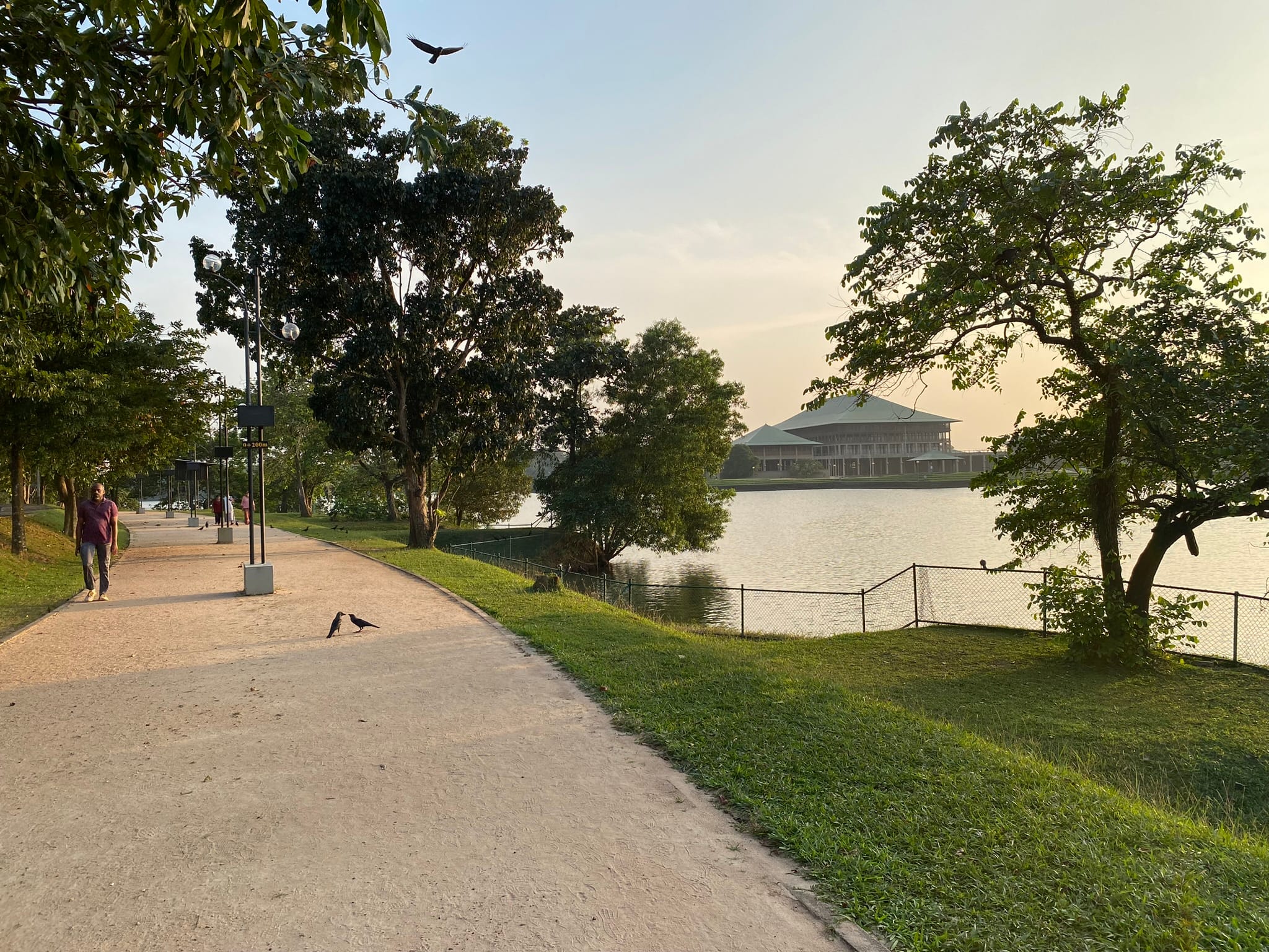 Evening light at Parliament Exercise Track. Walkways such as this prevent development from encroaching into wetlands and provide active space for the public. Laura Keil / IWMI.