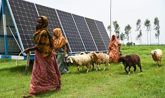 Women farmers in Kayumer Char, Gaibandha in northern Bangladesh, lead their cattle home against the backdrop of a movable micro-solar irrigation pump. Photo: Tanmoy Bhaduri / IWMI