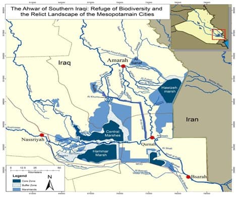 The Hawizeh, Hammar, and Central Marshes of southern Iraq, where water scarcity and salinity create an urgent need for the water restoration strategies discussed in this article.