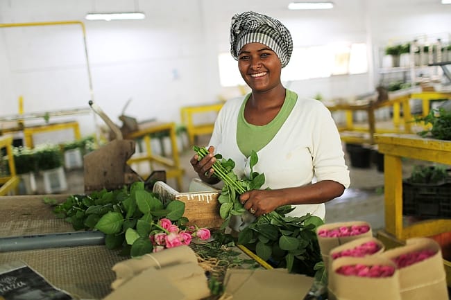 September-October 2024 Research Journal Roundup