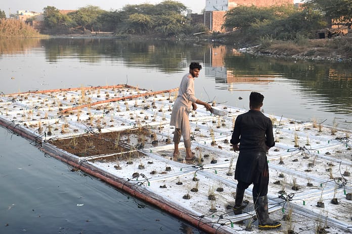 Floating wetland Pakistan