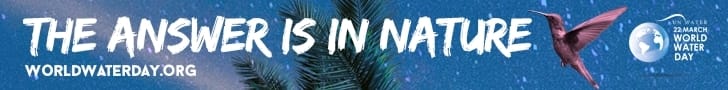 World Water Day 2018: The answer is in nature World Water Day 2018: The answer is in nature