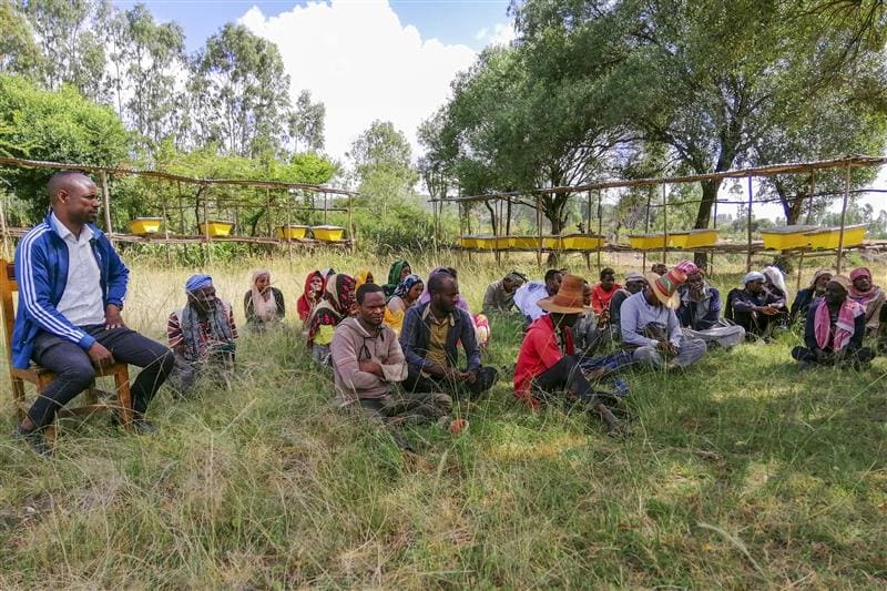 Community members in the Habibo Furana Kebele, Ethiopia discussing beekeeping as an opportunity for sustaining restored ecosystems. Photo: Wolde Mekuria/IWMI