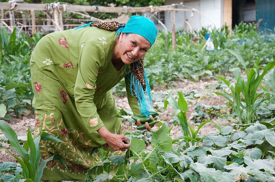 Innovations and smart water technologies key to food systems transformation in Central Asia