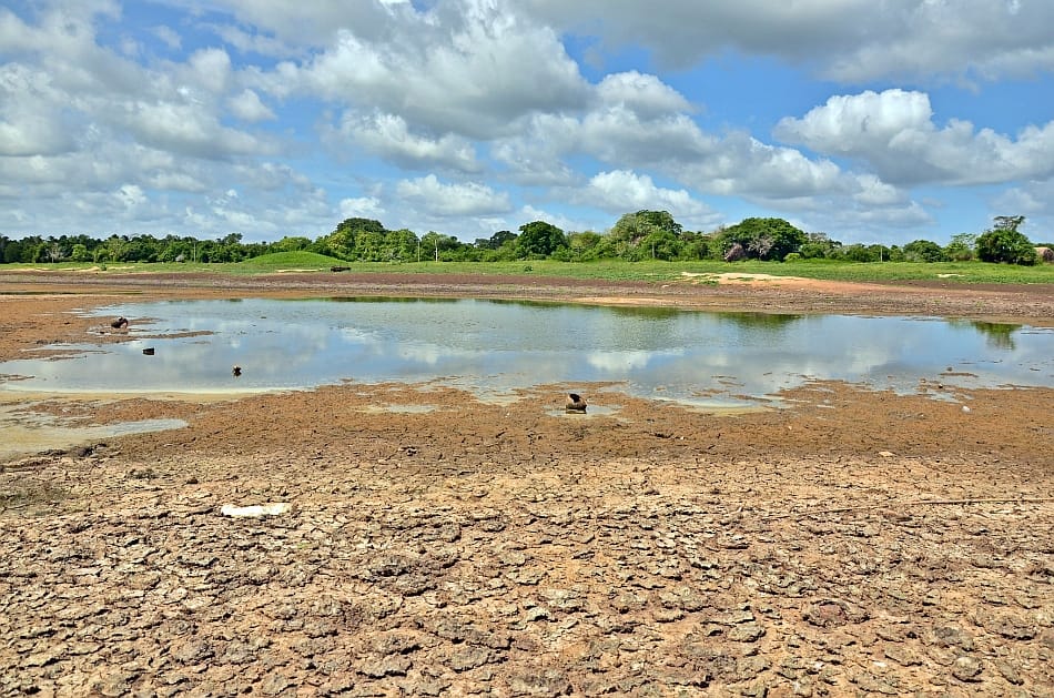 A drying lake in Thanthirimale located in the Anuradhapura District of Sri Lanka. Photo: Samurdhi Ranasinghe / IWMI A drying lake in Thanthirimale located in the Anuradhapura District of Sri Lanka. Photo: Samurdhi Ranasinghe / IWMI
