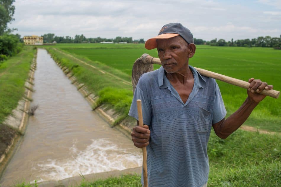 A farmer at his paddy field in Bar Bardiya Municipality in Bardiya District, Nepal. Photo: Nabin Baral / IWMI