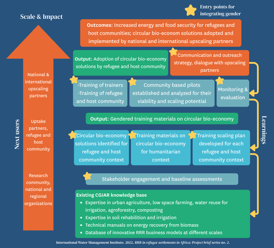 Entry points for gender integration in the Resource Recovery and Reuse framework. Graphic: IWMI
