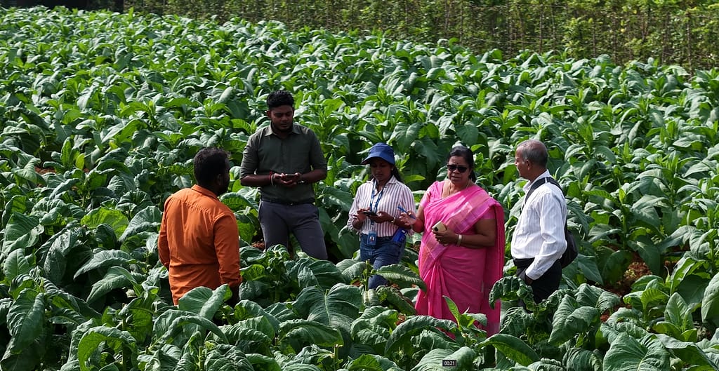 Anchanadevi, Deputy Provincial Director of Agriculture, Jegadeeshan, Somasundaran Shanmuganathan and IWMI researcher Dilmi Sithara Gamage conduct a farmer survey in Jaffna, Sri Lanka. Photo: IWMI