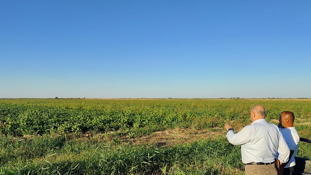 IWMI researchers survey a crop farm for the Rapid Drought Risk and Resilience Assessment project. Photo: IWMI