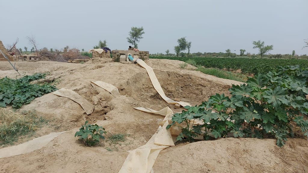 Adaptation techniques employed by the community. Photo: IWMI
