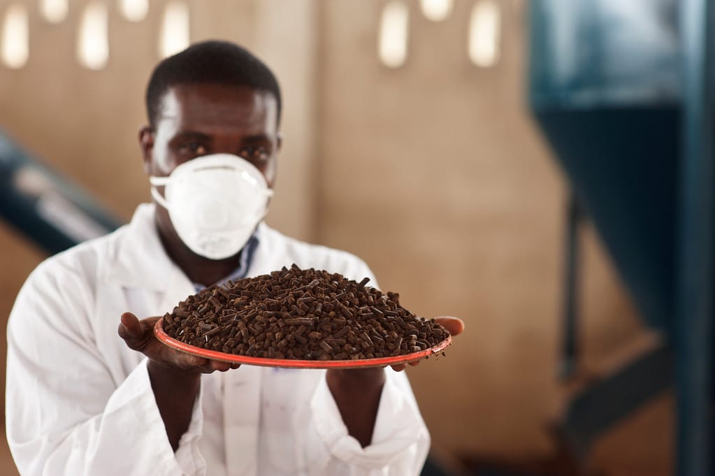 A worker from the Fortifer plant in Accra, Ghana, holds up a tray of fertilizer pellets made from compost. Photo: Harmish Applebly/IWMI
