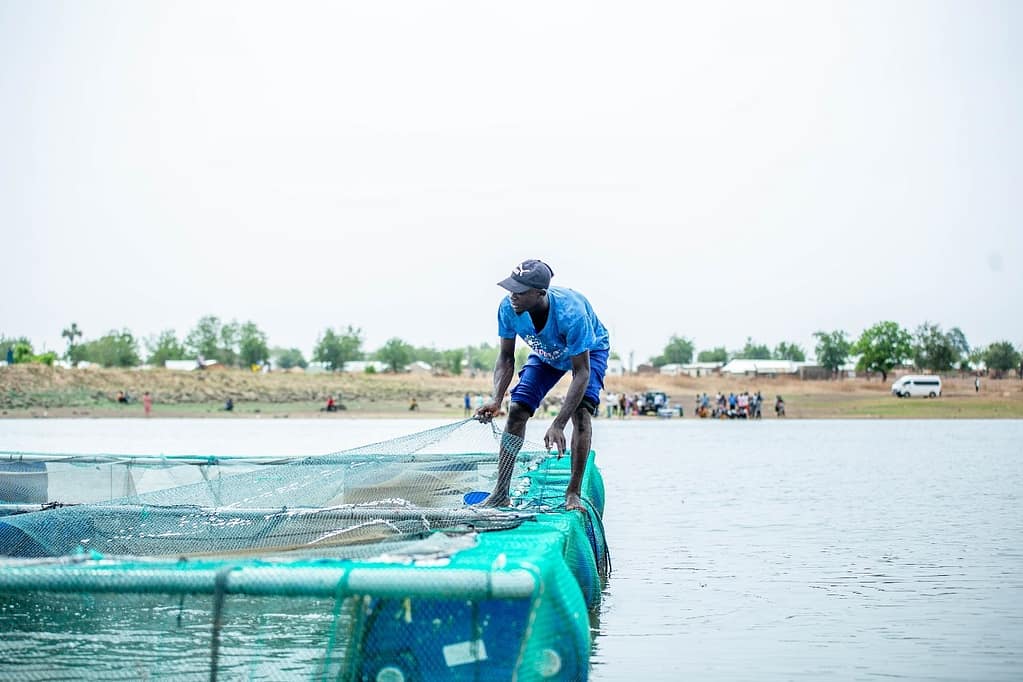 Daraku Mohammed Mumin manages the aquaculture nets. Photo: IWMI
