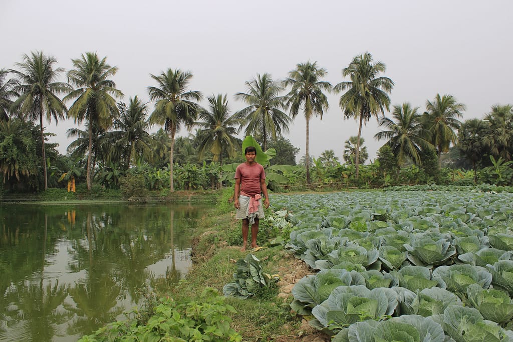 Agricultural field and aquacultural area lie side by side, Kolkata wetlands, India. Photo: Mrinmoee Photography for IWMI