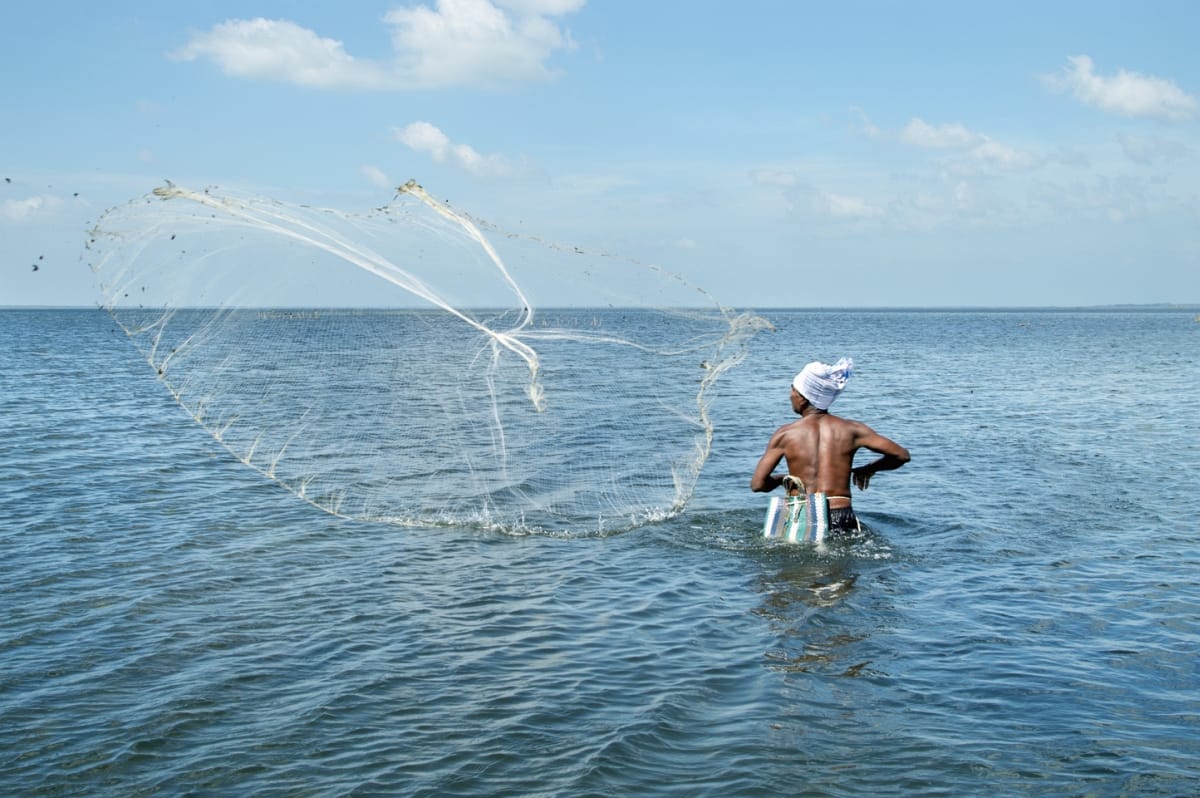 January-February 2026 Research Journal Roundup