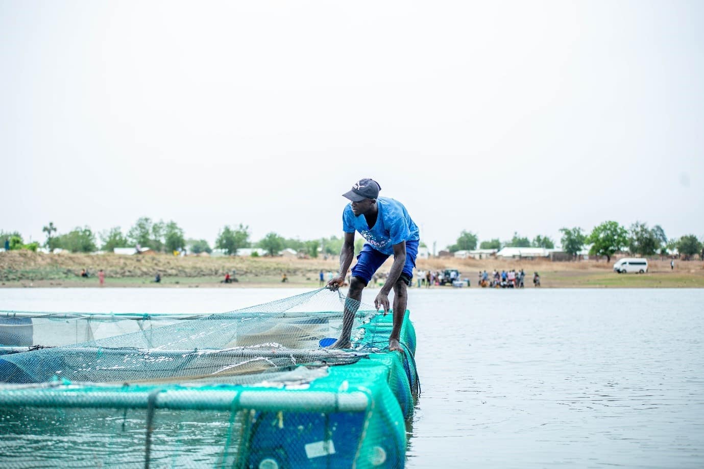 Daraku Mohammed Mumin manages the aquaculture nets. Photo: IWMI
