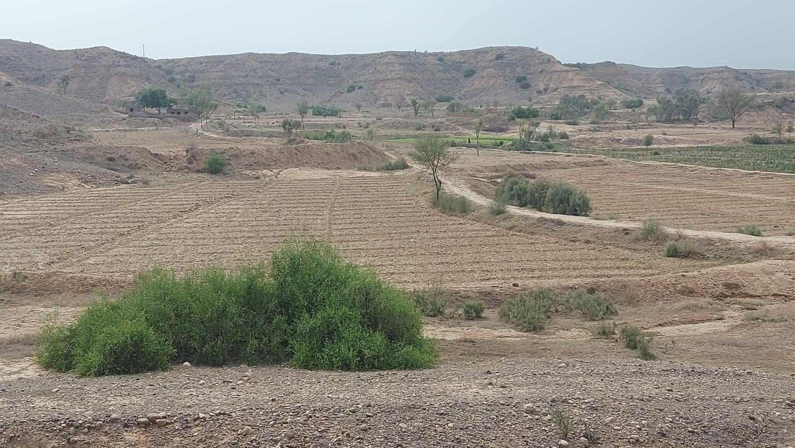 Mithawan hill torrent area. Photo: D.G. Khan